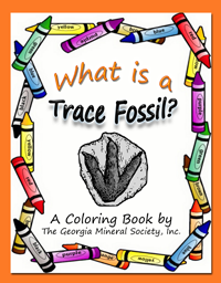 tracefossils