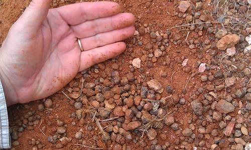 garnets