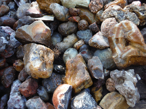 rocks