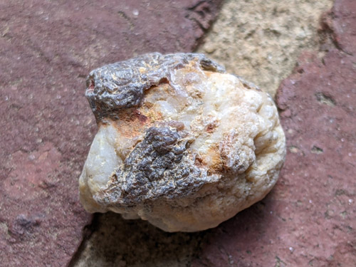 beekite