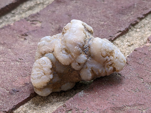 beekite