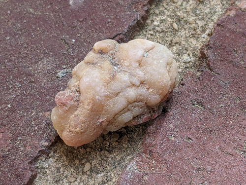 beekite