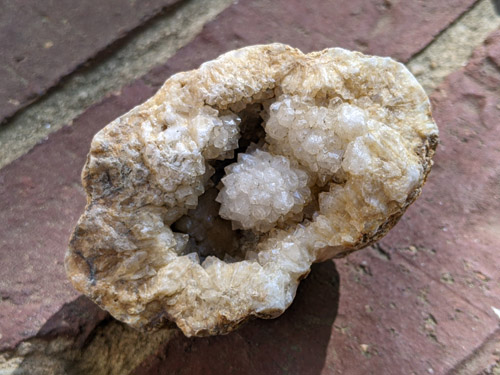 beekite