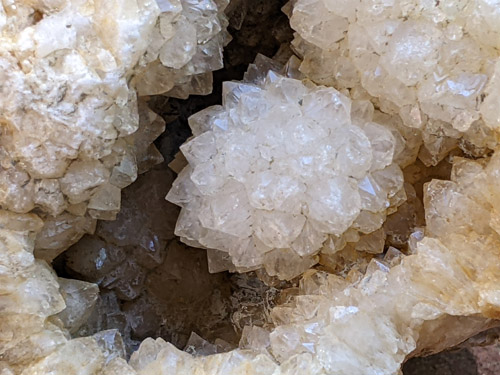 beekite